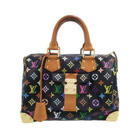 Louis Vuitton Multicolor Speedy Handbag - Picture 1 of 8